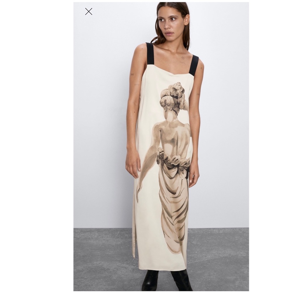 Zara dress NWT (special edition)